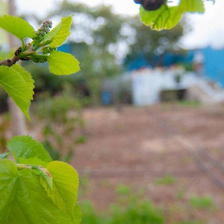 テヒーナ La Huerta De Manuelヴィラ エクステリア 写真